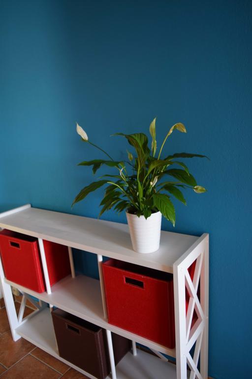Obstkorb Stralsund Appartement Kamer foto